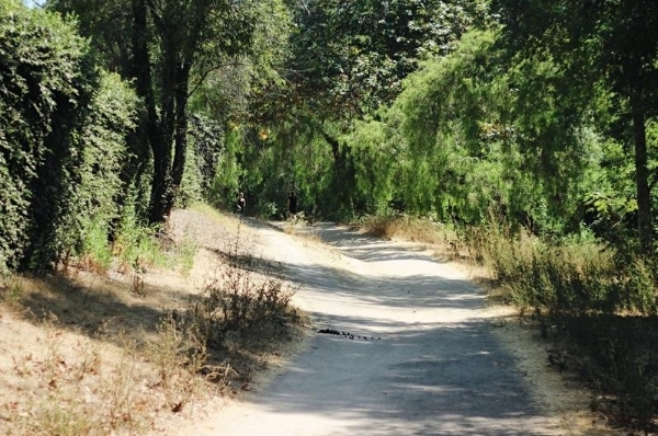Hiltscher Trail