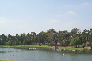Tri-City Park