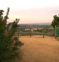 Panorama Trail