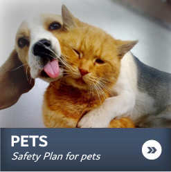Pets Safety