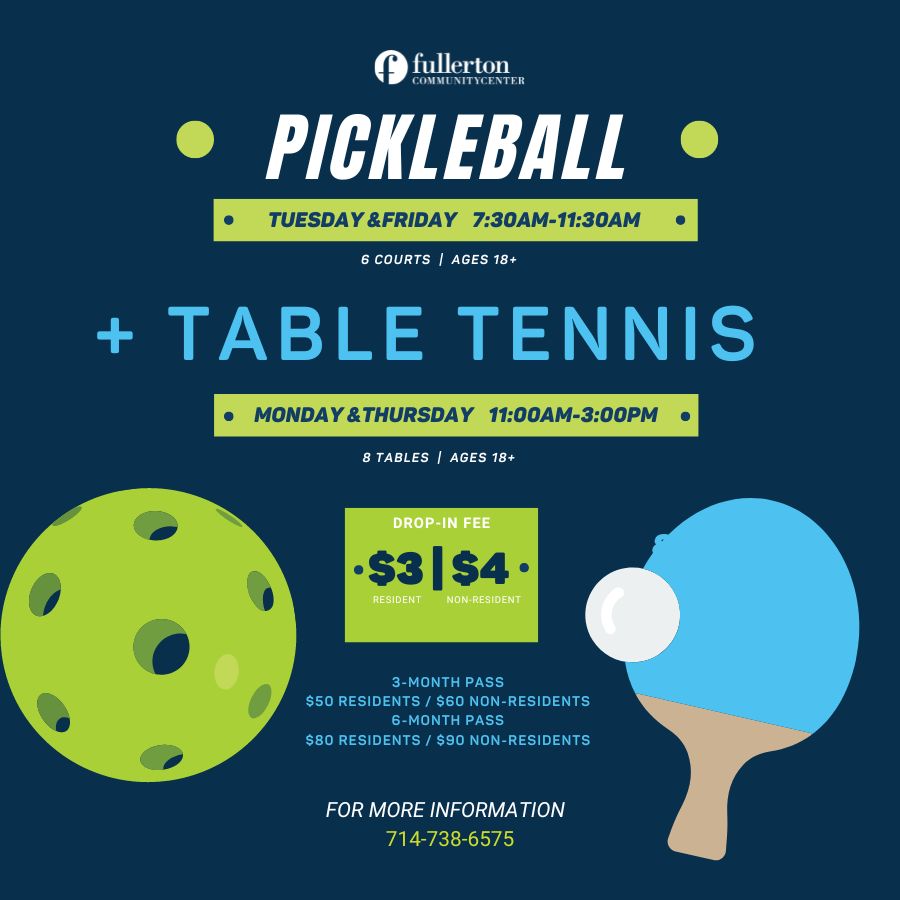 Table Tennis Pickleball
