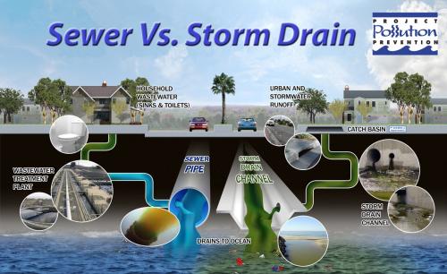 Sewer Vs. Storm Drain