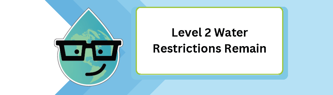 Level 2 Restrictions