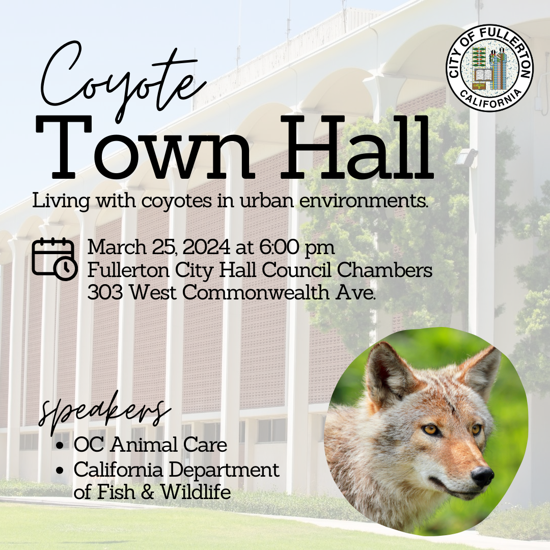 Coyote Town Hall 1